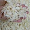 Premium Yan Jiao Grade C 燕角